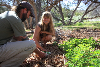 Foraging Wild Edible Plants at at True Nature Farm - Sustainable Living & Wilderness School, Boulder, Utah