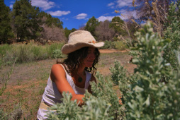 Foraging Wild Edible Plants at at True Nature Farm - Sustainable Living & Wilderness School, Boulder, Utah