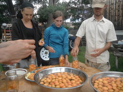 Homesteading and food preservation at True Nature Farm - Sustainable Living & wilderness School, Boulder, Utah