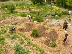Permaculture: From Design to Practice:  Learn the theory, ethics & principals of Permaculture and then apply them on a farm-wide scale. We will be learning and implementing the various concepts of Permaculture, including Personal Sustainability, Natural Building, Farming, and Land Stewardship.